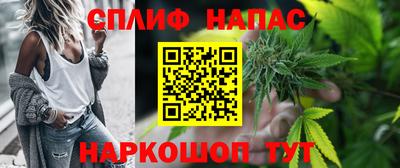 крисы Малгобек