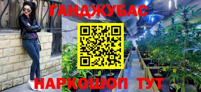 крисы Малгобек