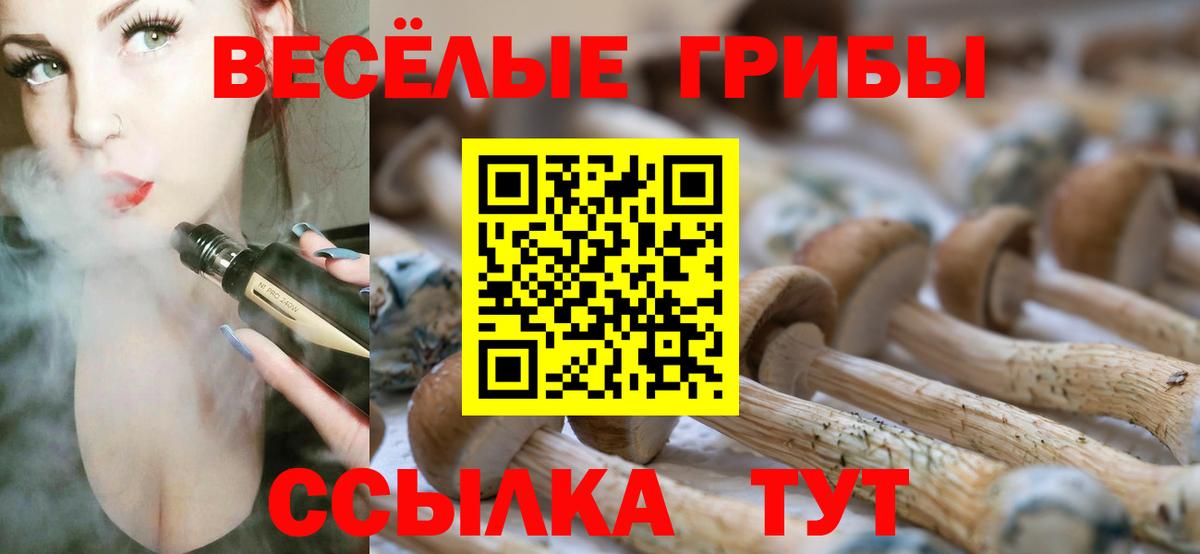Псилоцибиновые грибы MAGIC MUSHROOMS  Псилоцибиновые грибы Psilocybine cubensis  Будённовск  Вход с VPN 